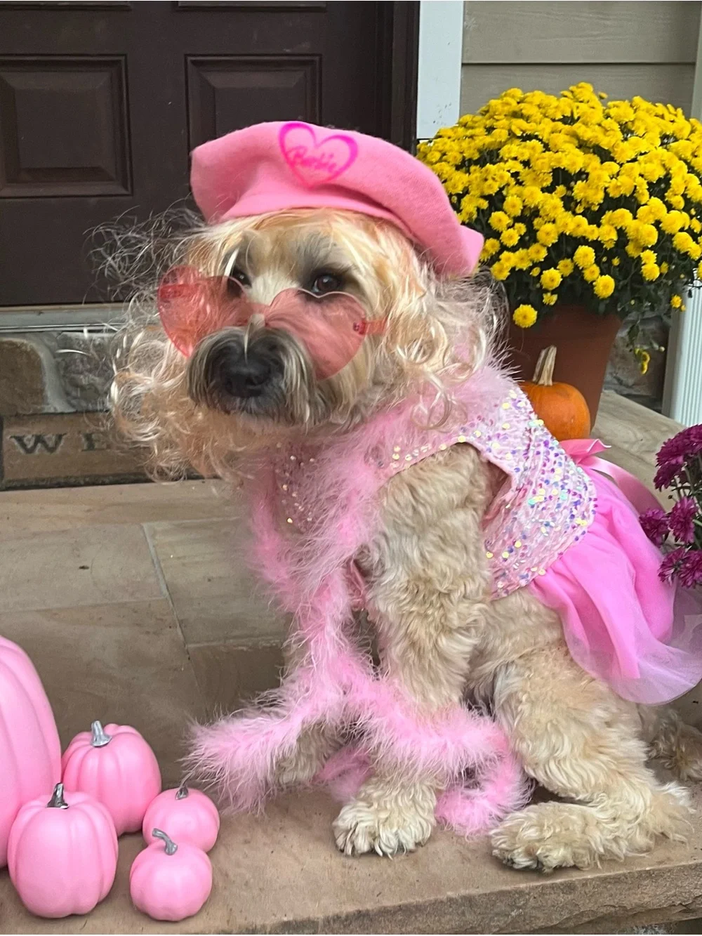 Pink Sequin Tulle Dog Dress with Beret and pink pumpkins